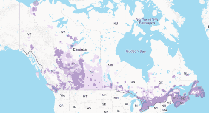 Telus' network coverage